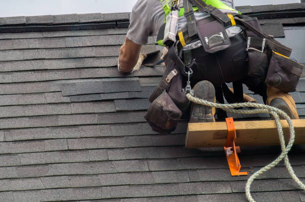 Best Storm Damage Roof Repair  in Harrison, TN