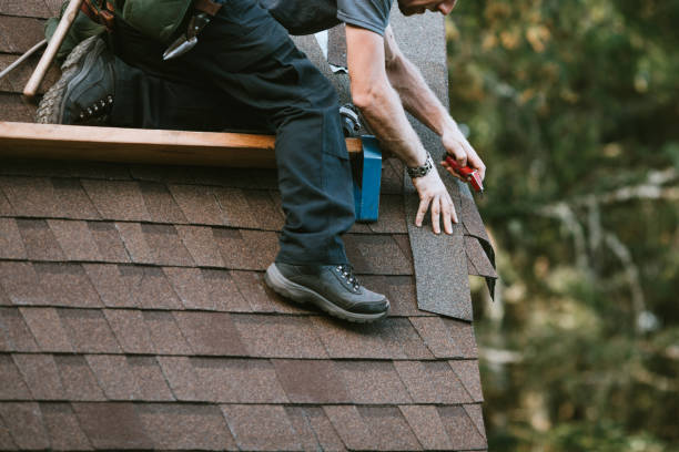 Best Roof Gutter Cleaning  in Harrison, TN