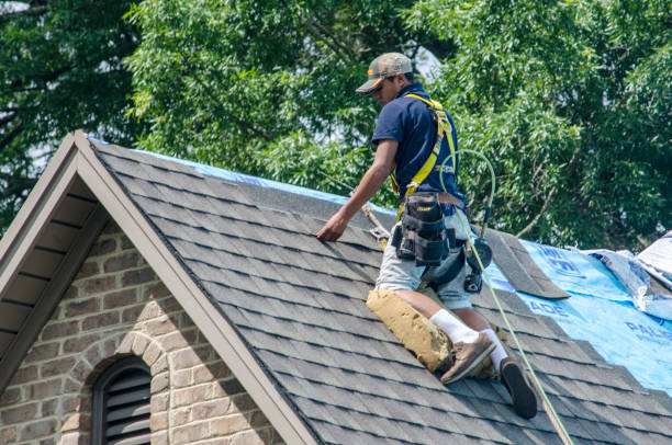 Best New Roof Installation  in Harrison, TN